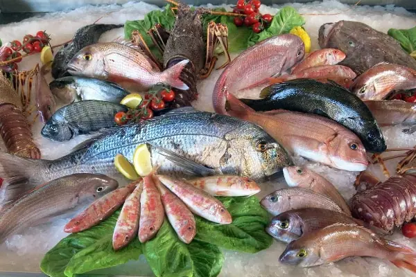 Fish