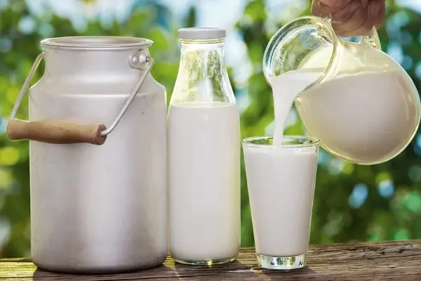 Milk