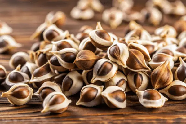 Moringa Seeds