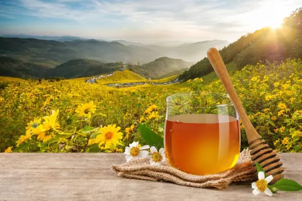 Mountain Honey