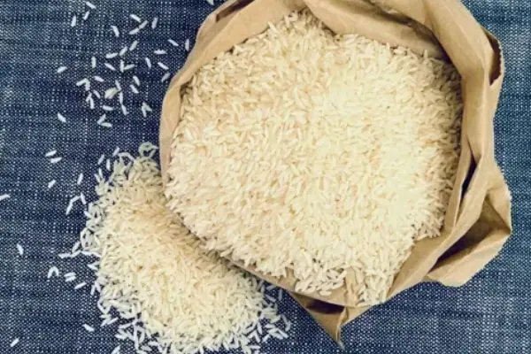 Sona Masoori Raw Rice