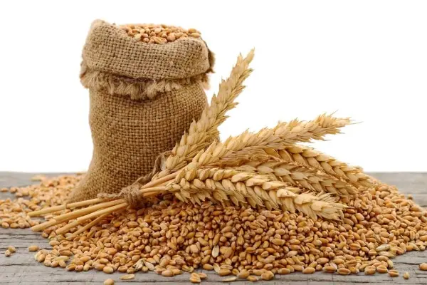 Wheat