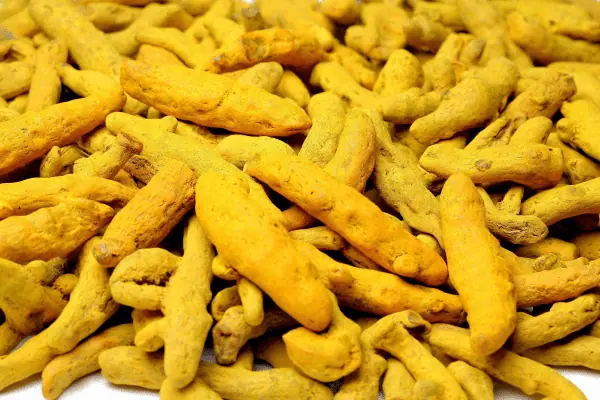 Finger Turmaric