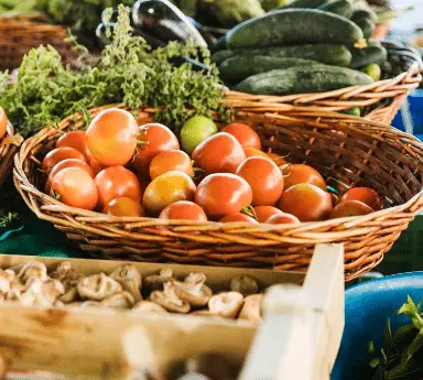 veg-product